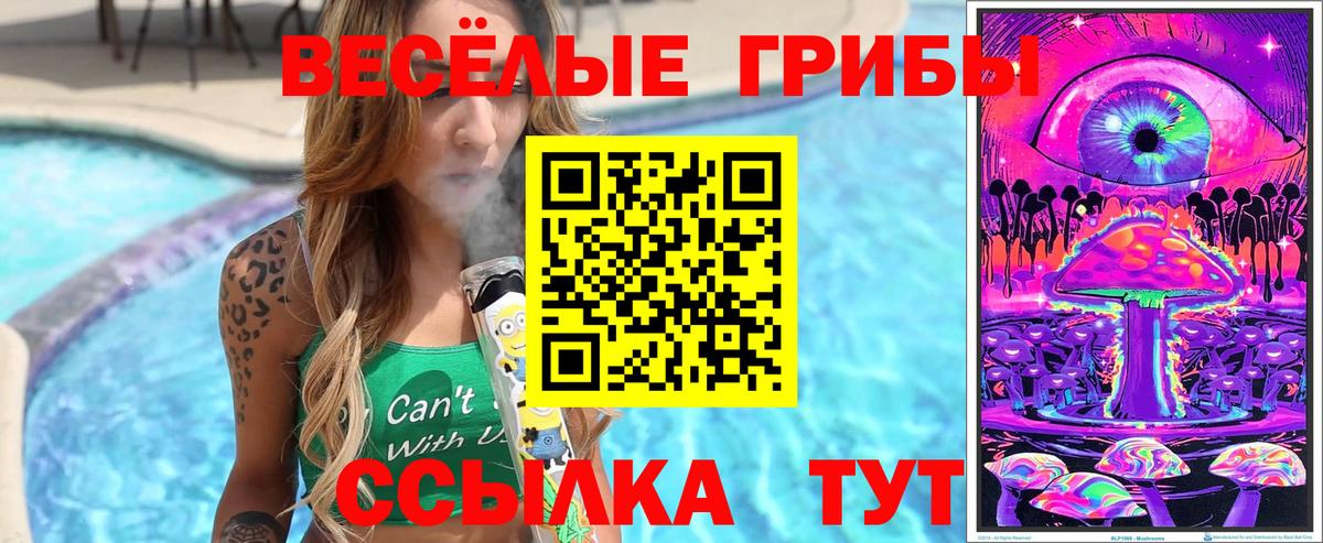 Псилоцибиновые грибы MAGIC MUSHROOMS Азов